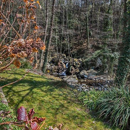 Il Friscello Villa Loro Ciuffenna Eksteriør bilde